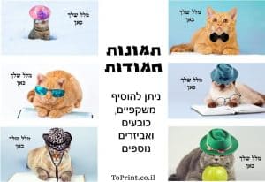 תמומות חמודות